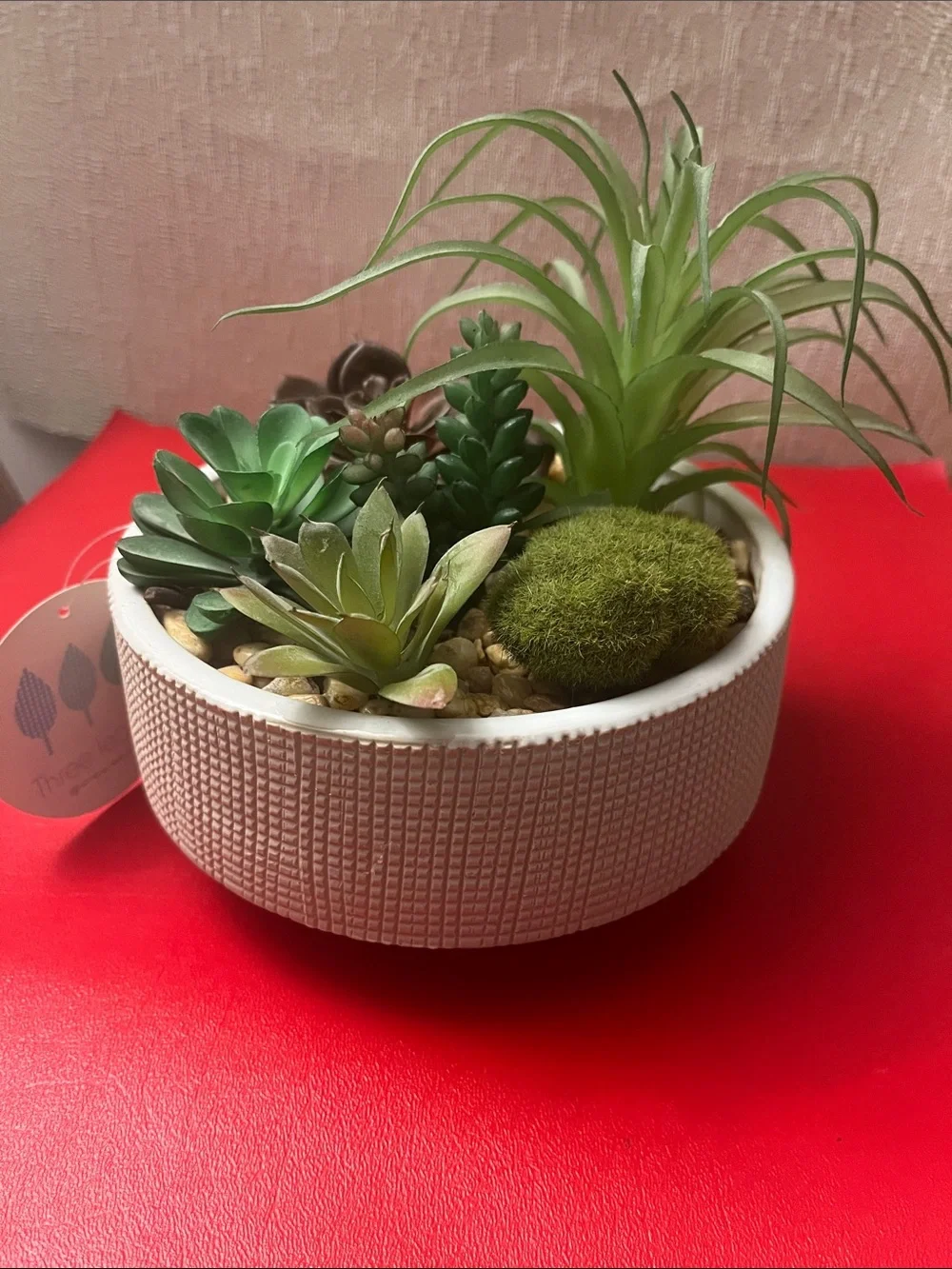 Assorted Artificial Multicolor Succulents in Ceramic Planter